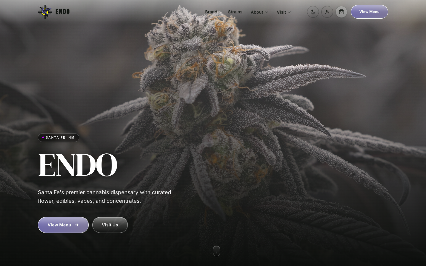 Homepage screenshot of ENDO